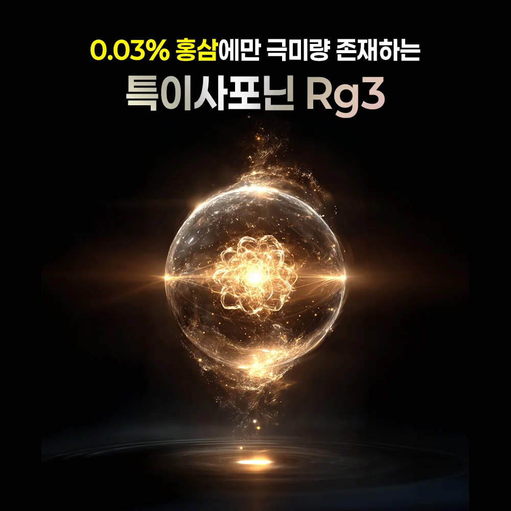 0.03% 홍삼에만 극미량 존재하는 특이사포닌 Rg3 — 공후하 결 핵심 성분